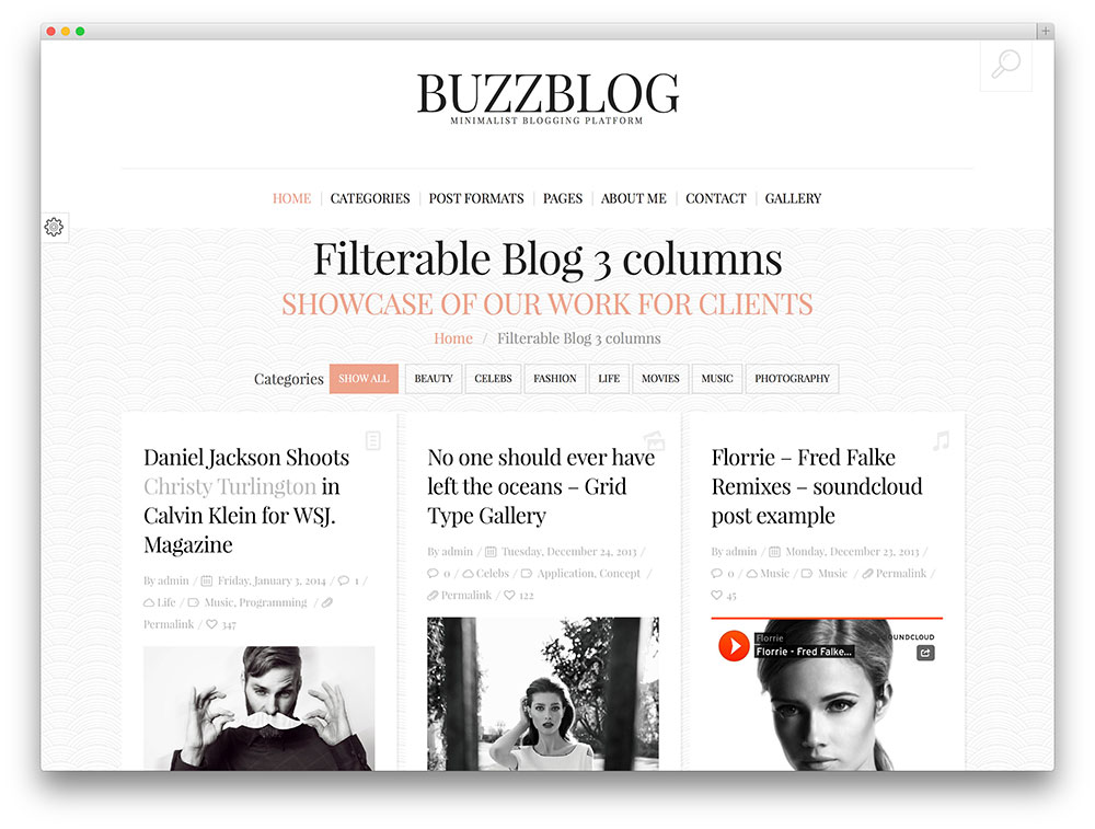 buzzblog blogging theme