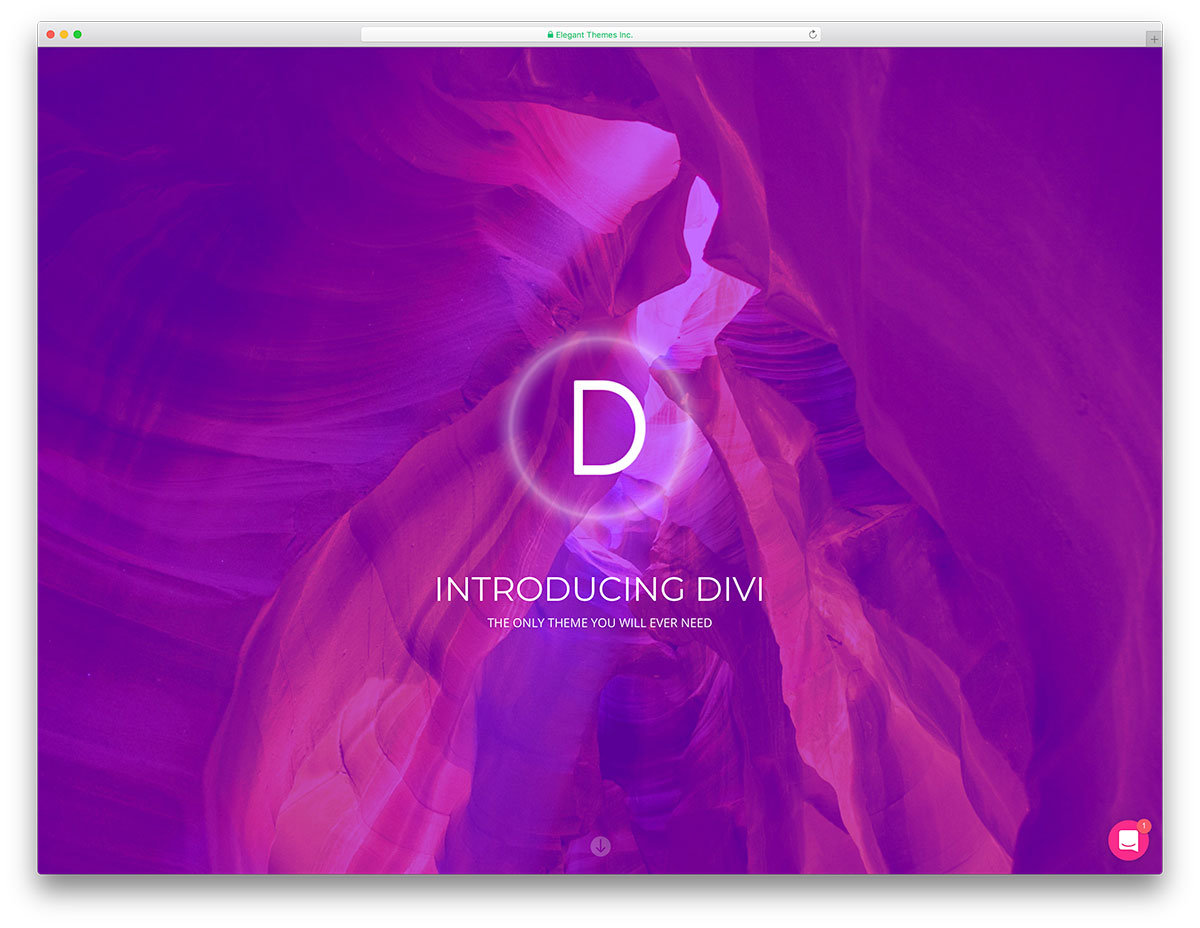 divi - customizable WordPress theme