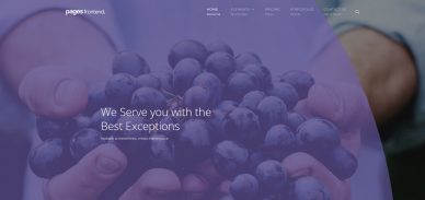 pages-interactive-website-templates
