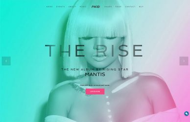 wordpress themes for musicians